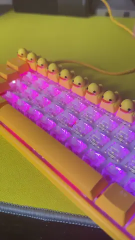 Building the coolest keyboard ever?! #keyboard #typing #asmr #ducks 
