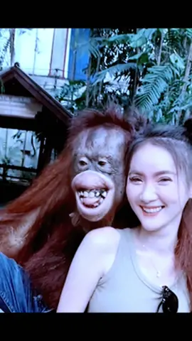 @🙈MONKEY🙈 #fyp #monkey #animals #gibbon #gorilla #monkeyvideos 