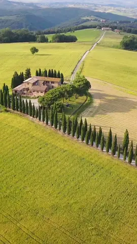 🌟 Lose yourself in the breathtaking landscapes of Tuscany, dotted with medieval villages.  Explore rolling hills adorned with vineyards, cypress-lined roads, and golden fields, all framing picturesque towns that seem frozen in time. 👉 Credit & permission 📽 @david_pistolesi 👏 thanks for sharing your beautiful moments 🤩 #tuscany #toscana #tiktoktravel #italia #italy #europedestinations 