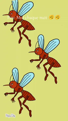 #mosquito #animation 