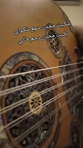 #شكيت_محد_سمع_شكواي #بشير_حمد_شنان #kn799 #عود 
