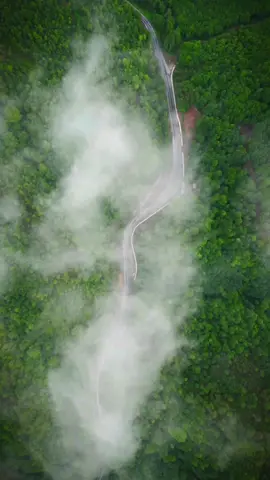 Nature 🌳🍃 #forest #aesthetic #nature #song #calm #real #edit #fyp #foryou #foryoupage #paratiiiiiiiiiiiii................. #CapCut #capcuttemplate #spring #travel #forest #traveledit #traveltiktok 