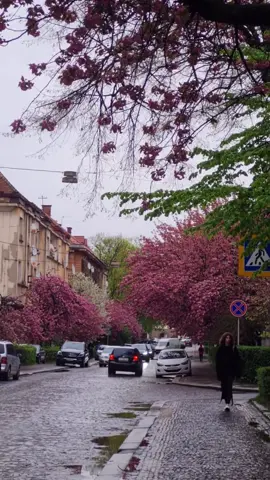 One might think the perfect place does not exist, but have you seen this video of Uzhhorod? Spring rain & cherry blossoms — you can nearly smell it through the screen 🌦️🌸 Video: any.aa_a & ivannnnna_ph / Instagram