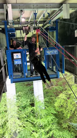 She screamed so loud😂 #highlandflingbungee #bungee #highlandswing #bungy #Summer 