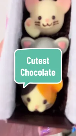 🍫The cutest chocolate ever from Japan 😱 I didnt wanna eat it 😂 It’s strawberry, vanilla, and coffee inside #japan #japanesechocolate #chocolate #animalchocolate #cats #chocolatecat #cute #kawaii #neko #sweettooth 
