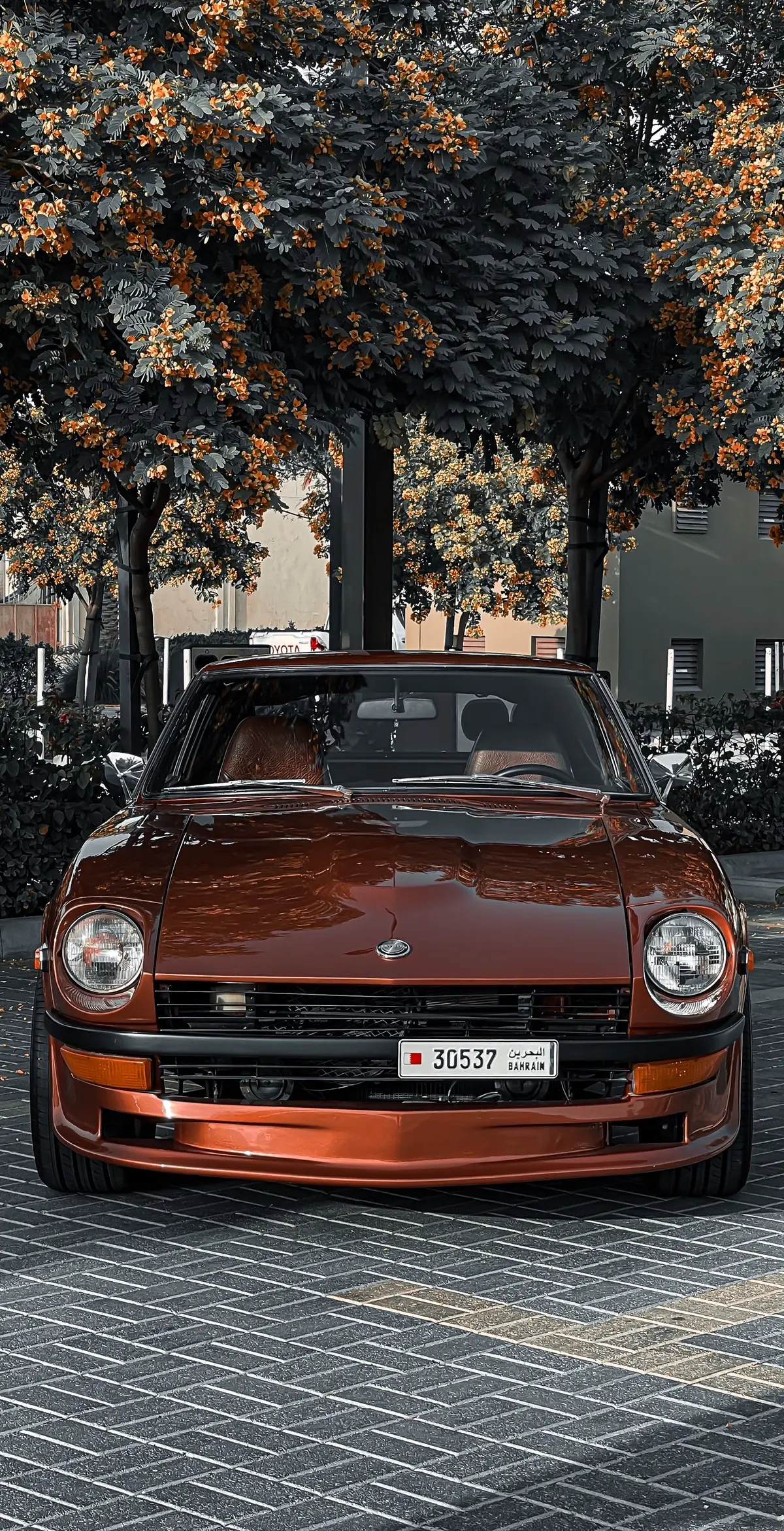 #240z #260z #280z #اكسبلورexplore #f#fyp 