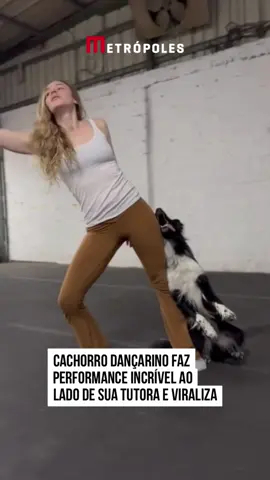 🥹🐕‍🦺 A dinâmica incrível entre a #dançarina Roni Sagi e seu #cachorro border collie chamado Rhythm impressionou a web com uma performance compartilhada nas redes sociais, na última sexta-feira (29/3). No vídeo, a dupla realizou uma dança emocionante ao som de 