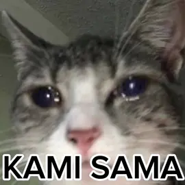 NO MOHNEY 😭#anime #cringe #memes #sad #fypシ゚viral #japanese #fypシ #sad #cats #fyp #fyp 