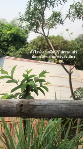 ลุยๆ#เพื่อพ่อเเม่ #ยืมลงสตอรี่ได้ #อย่าปิดการมองเห็น #ด้นขึ้นฟีดที 