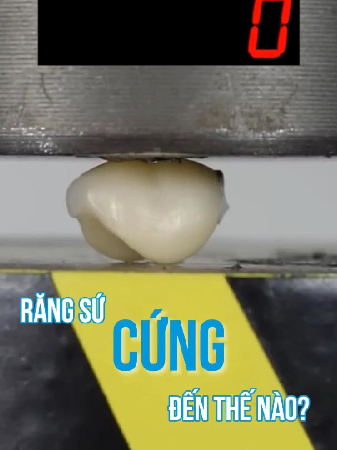 RĂNG SỨ DỄ GÃY VỠ?? Cùng test thử độ cứng của răng sứ nhé!  #nhakhoashark #nhakhoauytin #rangsu #kienthuc