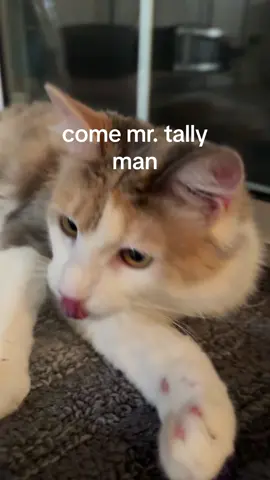 🍌
