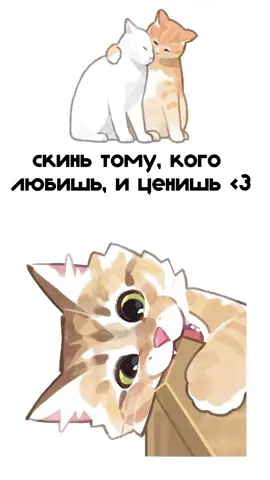 <3 #скиньтомукоголюбишь #мяуфокс #котики