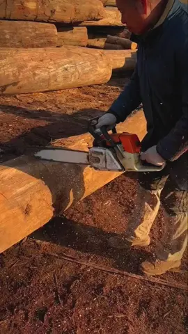 Cut wood to make houses#woodworking #wood #machine #technology #viral #foryou #satisfying #