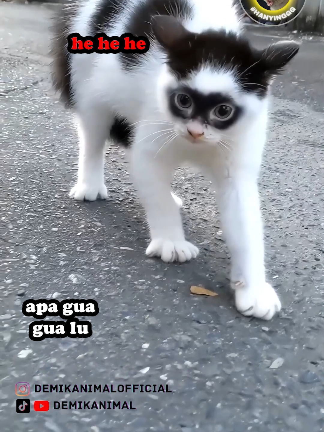 O.O #fyp #foryou #foryoupage #foryourpage #dubbing #dubbinglucu #dubbinghewan #dubbingbinatang #dubbingindonesia #demikanimal #demikanimalofficial #kucing #kucinglucu #dubbingkucing