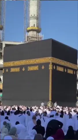 #ameen #😭😭😭😭😭😭💔💔💔💔 #🤲🤲🤲🤲🤲🤲🤲🤲🤲🕋🕋🕋🕋🕋🕋🕋🕋 #type #foryourpage #typ #foryou #typ #🥰🥰🥰🥰❤️❤️❤️ 