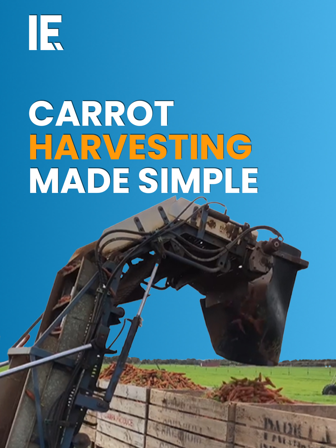 New tech-assisted farming means harvesting carrots has never been easier. #HarvestingCarrots #EasierFarming #CarrotHarvest #FarmingTech
