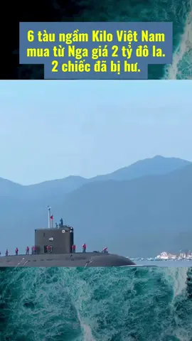 #🇻🇳 