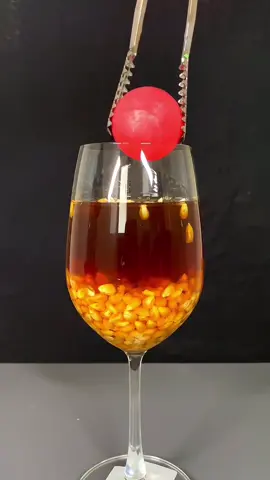 1000°C RHCB vs Corn + Honey = Popcorn ?? 🌽😱🍯 #1000 #RHCB #asmrsounds #experiment #satisfying #science #LifeHack #ustiktok #fypシ #trends #popcorn #honey 