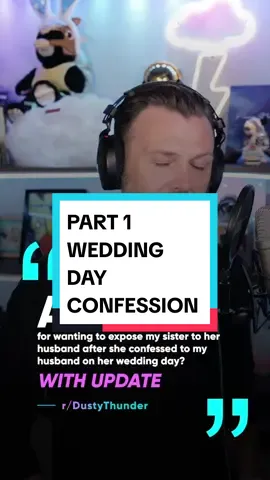 The one with the confession... AITA for wanting to expose my sister to her husband after she confessed to loving my husband on her wedding day?  #story #storytime #fyp #wedding #aita 