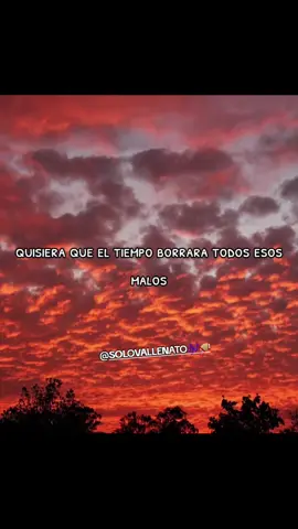 #viral #fypシ #lomejor #music #vallenato #parati #vallenatoromantico #Viral #Love #vallenatoscortavena #quisieraqueeltiempoborrara 