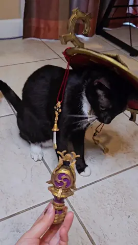 Him smacking the gnosis out of my hand 😭 A+ acting skills. #catcosplay #catcostume #scaramouche #GenshinImpact #genshincosplay #genshinimpactcosplay #scarameow #propmaking 