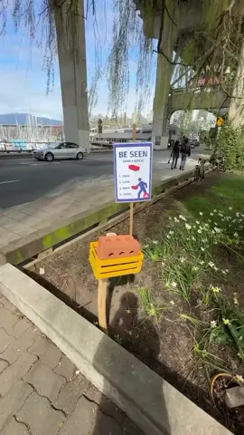 How to safely cross the road. 100% success rate