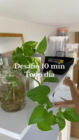 Ter filho é opção, ter rede de apoio não é obrigação da sua família. O vídeo que eu citei: @Gher #donadecasa #rotinadecasa #casaorganizada #reflexoesdavida #CleanTok 