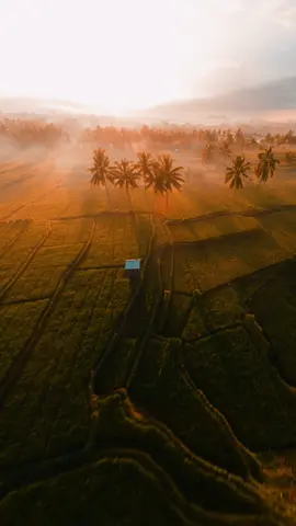 Ketika keindahan bali pas diliat di pagi hari pakek fpv. matahari yang terbit dari timur, kabut tipis dan sawah yang hijau, aku katakan Sempurna😍😍#bali #fyp #fpvdrone #fpvcinematic #gopro #fpv @iFlight @GoPro 