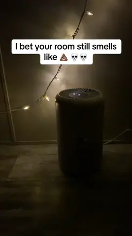 Mine stays dust free and smells amazing 😏🤫#levoit #levoitairpurifier #levoitlifestyle @Levoit_official 