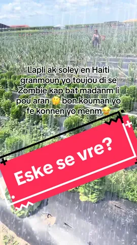 #CapCut #pouou🇭🇹 #pouou #fyp