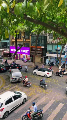 Con đường mùa nào cũng đẹp… #phandinhphung #fyp #hanoi 