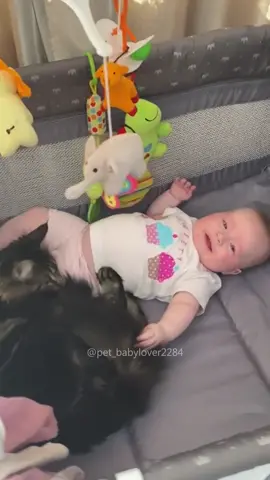 Cats are a baby’s best buddy🥰#cat #cats #cutecat #catlover #catsoftiktok #fyp #fypシ #funny #funnycat #foryou #foryoupage #funnyvideos #funnyanimals #funnytiktok #kitty 