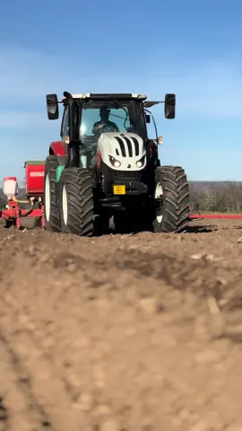 D aia port roșu, start la semanat 🌻 😜👌🏻#agrolory #fyp #fy #agriculturaromaneasca #steyrtraktoren #agriculture #steyr #gaspardo #agricultura #romania #floareasoarelui 