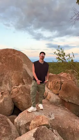 Le Roi Lion dans la vraie vie en Safari 🦁 c’est l’histoire de la vie finalement 🫶🏼