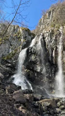 📍Boyana Waterfall, Bulgaria🧗🏻‍♀️ #waterfall #waterfalls #rainbow #rocks #naturephotography #nature #naturegeography #forest #forestphotography #mountains #mountain #радуга #водопад #скалы #горы #лес #камни #природа #българия #болгария #витоша #vitosha #vitoshamountain #waterfallvideo #travelbulgaria #travelblogger #bulgariatourism #bulgaria #bulgarianature