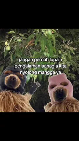 #fyp#moots?#4u#fypage#zyxcba 
