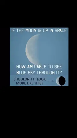 #clipsofinsight 