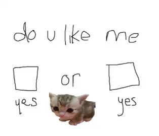 yes or yuh #fyp #relatable #cat #viral #meme 