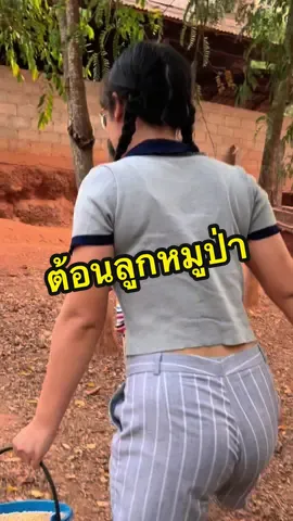 วิธีจับน้องง่ายๆของคุณแม่ :)😅#เอ็นดูน้อง #ให้อาหารสัตว์ #สัตว์โลกน่ารัก #หมูป่า #เกษตรกร #น่ารักเกิ๊นนน #เจ้าของฟาร์มหมู 