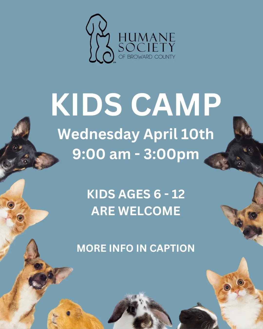 Register today! 😃🐶🐱   Kids Day Camp is next week and there is still time to sign up! Kids ages 6-12 are invited to join us during their day off on April 10th 💫   During day camp filled with animal fun, campers get to roll up their sleeves and help take care of the animals in the shelter by doing different jobs like cleaning cages, feeding animals, socializing animals, building litter boxes, making enrichment items for the animals, etc. They also help us market the animals that are having a harder time getting adopted by making posters and videos. We promise your child will leave here full of animal knowledge and a proud supporter of the Humane Society.  Many of our campers have come back for years and have adopted their pets here as a result 💓   WHEN: Wednesday, April 10, 2024 from 9:00 am - 3:00 pm WHO: Children between the ages of 6 to 12 years old HOW MUCH? $75 for the day includes a pizza lunch   Head to humanebroward.com > youth programs > camps > Ollie’s day camp ages 6-12 for more information and to register! (Link is in our bio) 😀 Questions? Contact Caroline 954-266-6815 or ccrane@hsbroward.com #rescuedog #shelterdog #adoptdontshop #humanebroward #dogsofinstagram #fortlauderdale #florida #southflorida #miami #browardcounty #miamidade #adoptme #adoption #palmbeachcounty #dogoftheday #dogrescue #dog #dogs #kidscamp #campforkids #registernow      