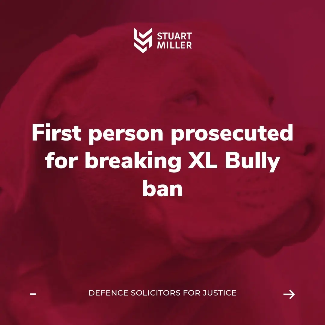 🚨FIRST PERSON PROSECUTED FOR XL BULLY BAN VIOLATION🐾 Swipe for more details. 
 
 #XLbully #dogsoftiktok #viral #uk #foryou #fyp #xlbullyban #xlbullylaw #dogs #news #lawyers #lawyersoftiktok #law #lawschool #trending #explore #pitbull