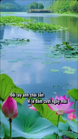 những bài hát karaoke hay trên Tik Tok#tiktokvietnam #traimientay 
