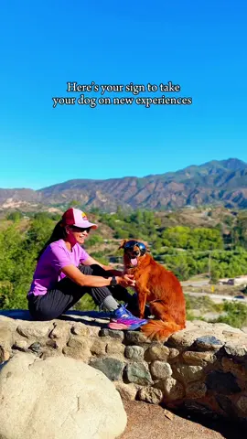 Here’s your sign to take your dog on new experiences, because they’re a part of family 🧡 #goldenretriever #goldens #golden #retrievers #retriever #pettiktok #foryoupage #fyp #dogsoftiktok 
