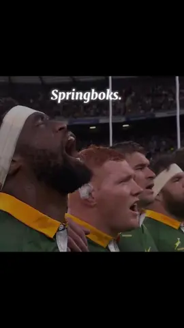 Springboks best itw#rugby #edit #aftereffects #fyp #viral #springboks 