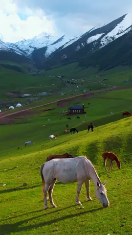 This is the picturesque Chunkurchak Valley, a haven for nature lovers seeking tranquility amidst verdant landscapes. 🌳 Kyrgyzstan's name translates to 