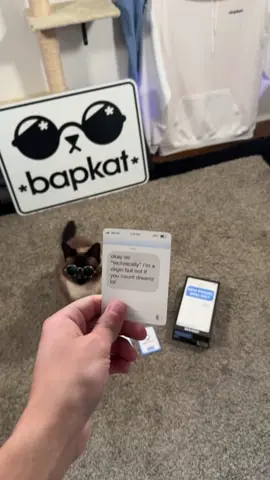 Casual conversation #cat #bap #fyp #oof #newphonewhodis