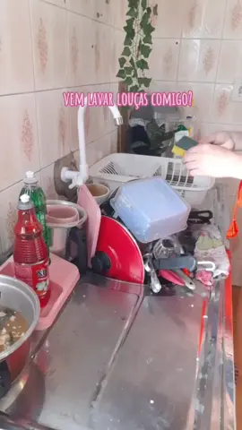 já lavou as louças hoje? #asmrlimpeza #donadecasa #rotinadecasa #faxinapesada 