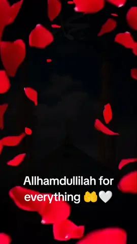 Allhamdullilah....Allah give us this blessing month of Ramadan 🤲💞🤍 #allah #allhamdulilah #islamic_video #trending #foryou #foryoupage #lines #freephalistine🇵🇸 #Ramadan2024 