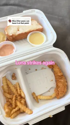 Replying to @ikyfl! ☹ ✧✩ #canes #chickentenders #hissingcats #catstealingfood #catburglar #catstealing #catchickennuggets #raisingcanes #texastoast #canessauce #catsoftiktok #cats 