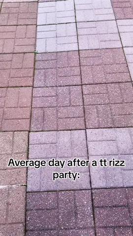 Average after a tt rizz party @COOKIES BACK 🧞‍♂️ @Seby_261 #fyp #tiktokrizzparty #turkishquandiledingle #bluetie 